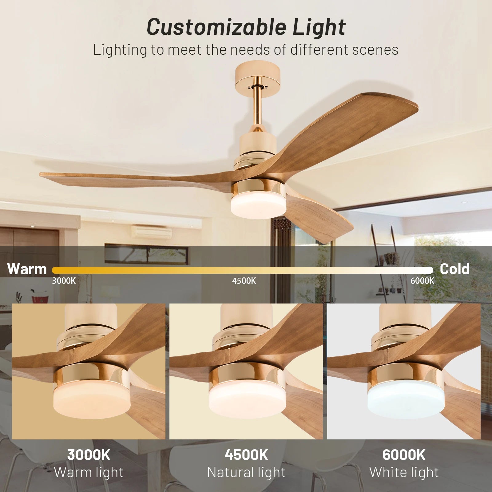 Modern LED Light Ceiling Fan With Remote Control