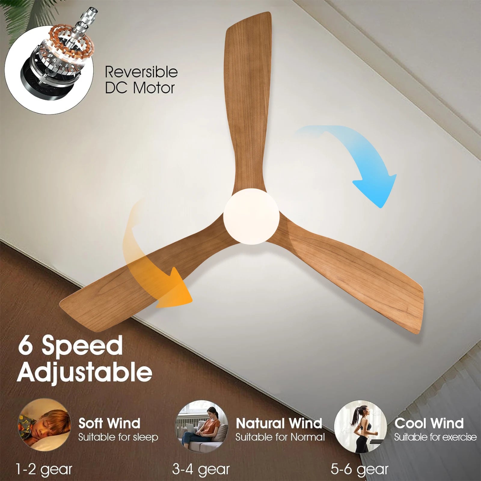 Modern LED Light Ceiling Fan With Remote Control