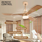Modern LED Light Ceiling Fan With Remote Control