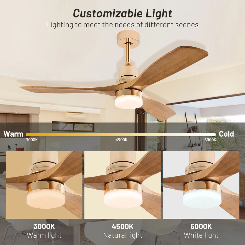 Modern LED Light Ceiling Fan With Remote Control