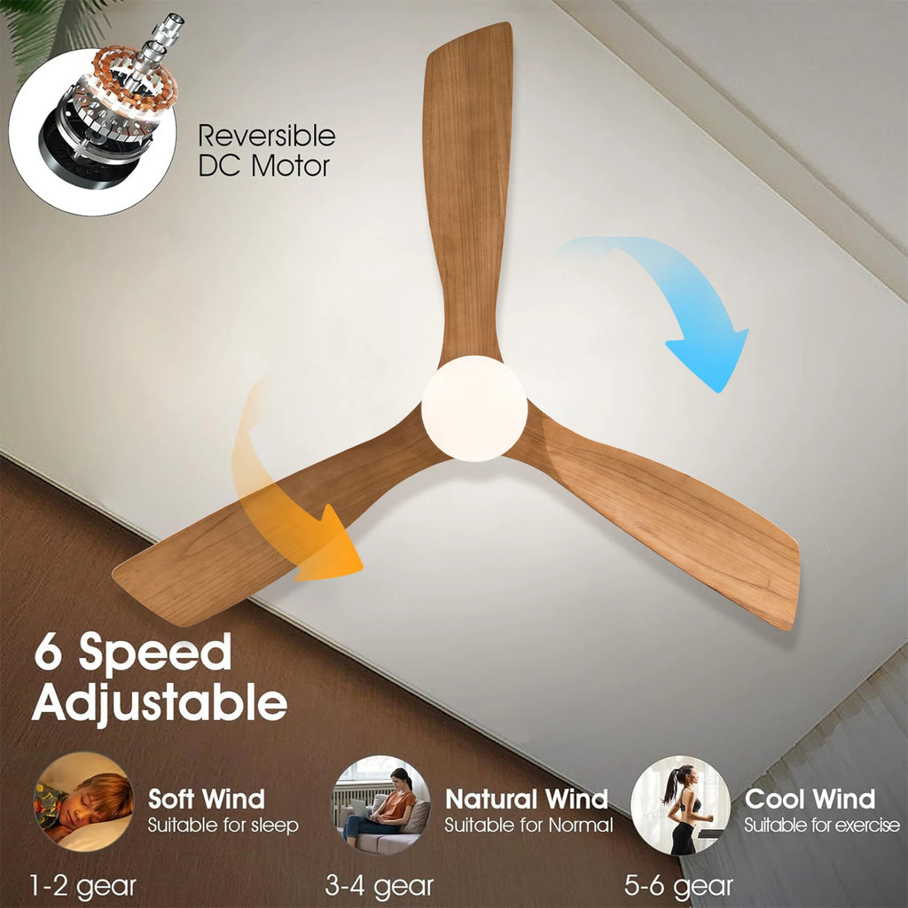 Modern LED Light Ceiling Fan With Remote Control