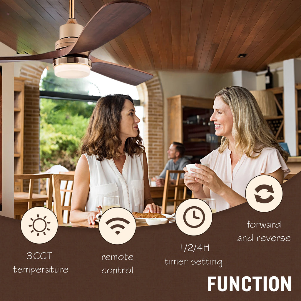 Remote Control Ceiling Fan with Light