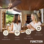 Remote Control Ceiling Fan with Light