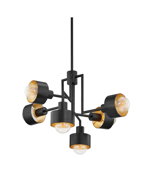 6 Light Iron Chandelier
